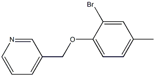 3-(2-bromo-4-methylphenoxymethyl)pyridine Struktur