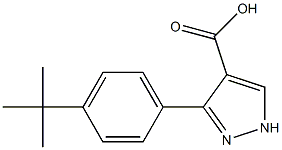 3-(4-tert-butylphenyl)-1H-pyrazole-4-carboxylic acid Struktur