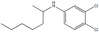 3,4-dichloro-N-(heptan-2-yl)aniline Struktur