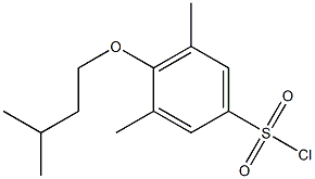 3,5-dimethyl-4-(3-methylbutoxy)benzene-1-sulfonyl chloride Struktur