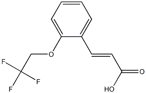 3-[2-(2,2,2-trifluoroethoxy)phenyl]prop-2-enoic acid Struktur