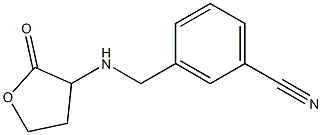 3-{[(2-oxooxolan-3-yl)amino]methyl}benzonitrile Struktur