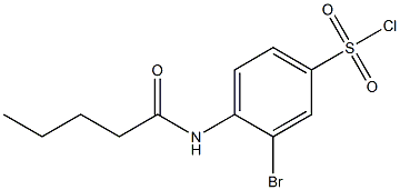 3-bromo-4-pentanamidobenzene-1-sulfonyl chloride Struktur