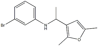 3-bromo-N-[1-(2,5-dimethylfuran-3-yl)ethyl]aniline Struktur