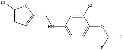 3-chloro-N-[(5-chlorothiophen-2-yl)methyl]-4-(difluoromethoxy)aniline Struktur