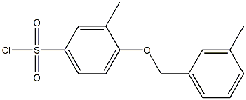 3-methyl-4-[(3-methylphenyl)methoxy]benzene-1-sulfonyl chloride Struktur