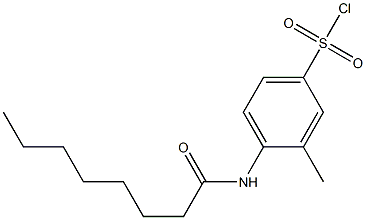 3-methyl-4-octanamidobenzene-1-sulfonyl chloride Struktur