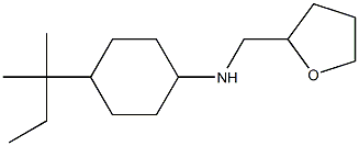 4-(2-methylbutan-2-yl)-N-(oxolan-2-ylmethyl)cyclohexan-1-amine Struktur