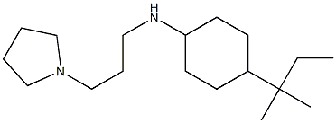 4-(2-methylbutan-2-yl)-N-[3-(pyrrolidin-1-yl)propyl]cyclohexan-1-amine Struktur