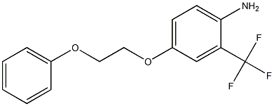 4-(2-phenoxyethoxy)-2-(trifluoromethyl)aniline Struktur