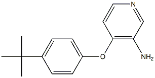 4-(4-tert-butylphenoxy)pyridin-3-amine Struktur