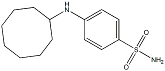 4-(cyclooctylamino)benzene-1-sulfonamide Struktur