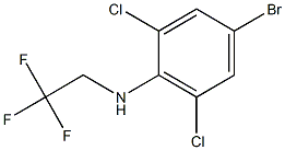 4-bromo-2,6-dichloro-N-(2,2,2-trifluoroethyl)aniline Struktur