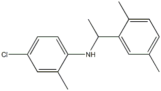 4-chloro-N-[1-(2,5-dimethylphenyl)ethyl]-2-methylaniline Structure