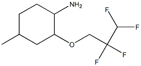 4-methyl-2-(2,2,3,3-tetrafluoropropoxy)cyclohexan-1-amine Struktur