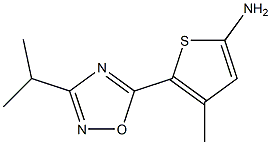 4-methyl-5-[3-(propan-2-yl)-1,2,4-oxadiazol-5-yl]thiophen-2-amine Struktur