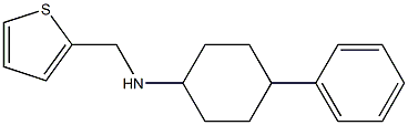 4-phenyl-N-(thiophen-2-ylmethyl)cyclohexan-1-amine Struktur