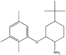 4-tert-butyl-2-(2,3,5-trimethylphenoxy)cyclohexan-1-amine Struktur