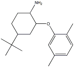 4-tert-butyl-2-(2,5-dimethylphenoxy)cyclohexan-1-amine Struktur