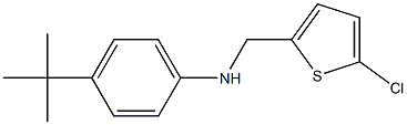 4-tert-butyl-N-[(5-chlorothiophen-2-yl)methyl]aniline Struktur