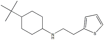 4-tert-butyl-N-[2-(thiophen-2-yl)ethyl]cyclohexan-1-amine Struktur