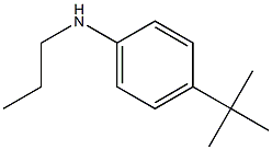 4-tert-butyl-N-propylaniline Struktur