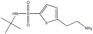 5-(2-aminoethyl)-N-(tert-butyl)thiophene-2-sulfonamide Struktur