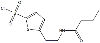 5-[2-(butyrylamino)ethyl]thiophene-2-sulfonyl chloride Struktur