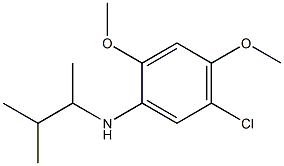 5-chloro-2,4-dimethoxy-N-(3-methylbutan-2-yl)aniline Struktur