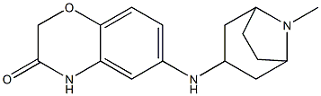 6-({8-methyl-8-azabicyclo[3.2.1]octan-3-yl}amino)-3,4-dihydro-2H-1,4-benzoxazin-3-one Struktur