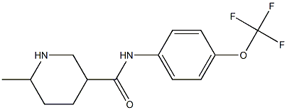 6-methyl-N-[4-(trifluoromethoxy)phenyl]piperidine-3-carboxamide Struktur