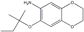 7-[(2-methylbutan-2-yl)oxy]-2,3-dihydro-1,4-benzodioxin-6-amine Struktur