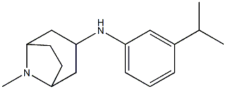 8-methyl-N-[3-(propan-2-yl)phenyl]-8-azabicyclo[3.2.1]octan-3-amine Struktur