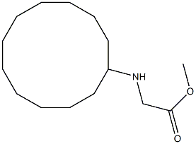 methyl 2-(cyclododecylamino)acetate Struktur