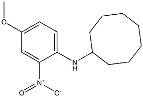 N-(4-methoxy-2-nitrophenyl)cyclooctanamine Struktur