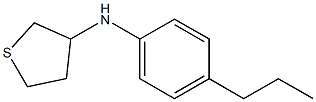 N-(4-propylphenyl)thiolan-3-amine Struktur