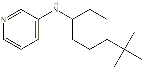 N-(4-tert-butylcyclohexyl)pyridin-3-amine Struktur