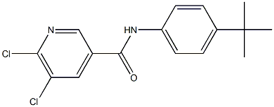 N-(4-tert-butylphenyl)-5,6-dichloropyridine-3-carboxamide Struktur