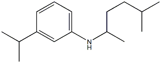 N-(5-methylhexan-2-yl)-3-(propan-2-yl)aniline Struktur