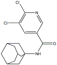 N-(adamantan-1-yl)-5,6-dichloropyridine-3-carboxamide Struktur