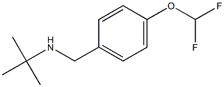 N-(tert-butyl)-N-[4-(difluoromethoxy)benzyl]amine Struktur