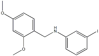 N-[(2,4-dimethoxyphenyl)methyl]-3-iodoaniline Struktur