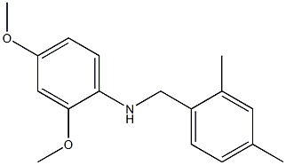 N-[(2,4-dimethylphenyl)methyl]-2,4-dimethoxyaniline Struktur