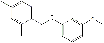 N-[(2,4-dimethylphenyl)methyl]-3-methoxyaniline Struktur