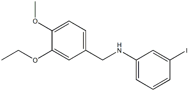 N-[(3-ethoxy-4-methoxyphenyl)methyl]-3-iodoaniline Struktur