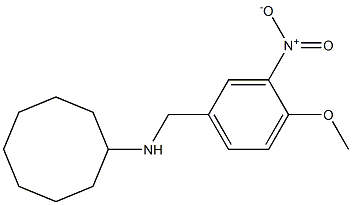 N-[(4-methoxy-3-nitrophenyl)methyl]cyclooctanamine Struktur