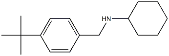 N-[(4-tert-butylphenyl)methyl]cyclohexanamine Struktur