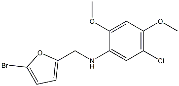 N-[(5-bromofuran-2-yl)methyl]-5-chloro-2,4-dimethoxyaniline Struktur