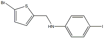 N-[(5-bromothiophen-2-yl)methyl]-4-iodoaniline Struktur