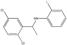 N-[1-(2,5-dichlorophenyl)ethyl]-2-iodoaniline Struktur